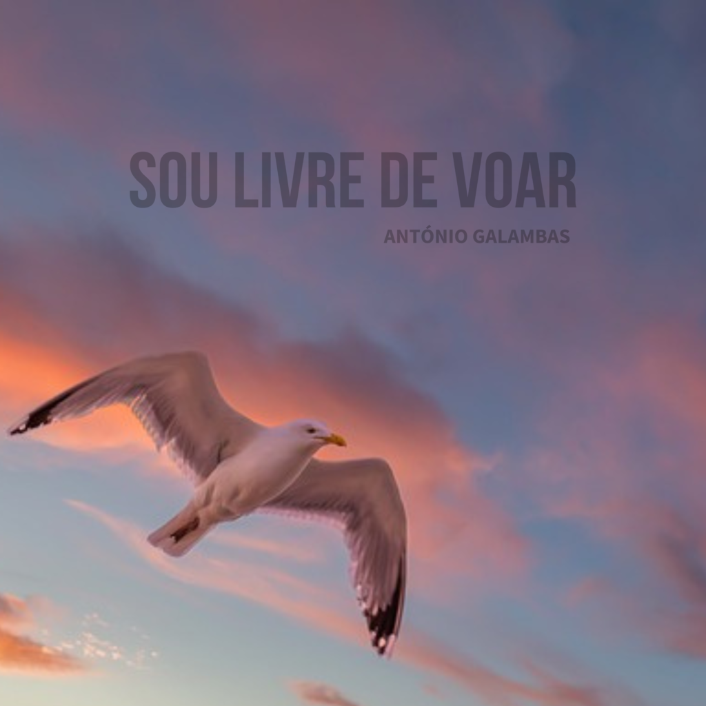 Sou livre de voar