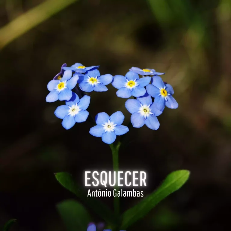 Esquecer